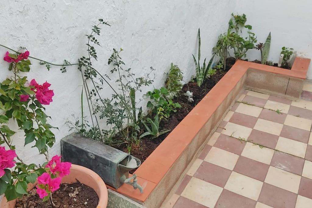 Casa Dos Mareas Villa Isla Cristina Ngoại thất bức ảnh
